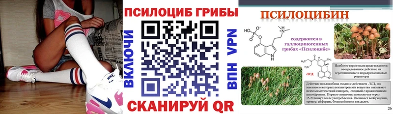Галлюциногенные грибы мухоморы  продажа наркотиков  Горячеводский 